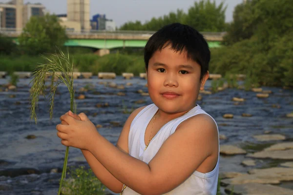 Junge mit Gras — Stockfoto