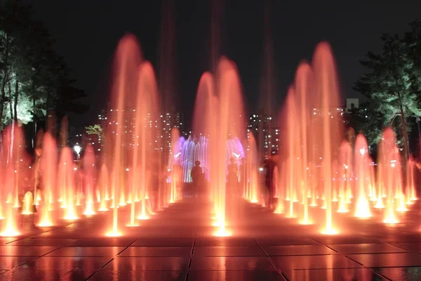 Красиві фонтани вночі — стокове фото