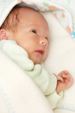 Portrait of a newborn baby clipart