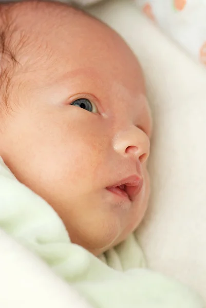 Retrato do recém-nascido — Fotografia de Stock