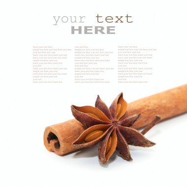 Star anise and cinnamon beer clipart
