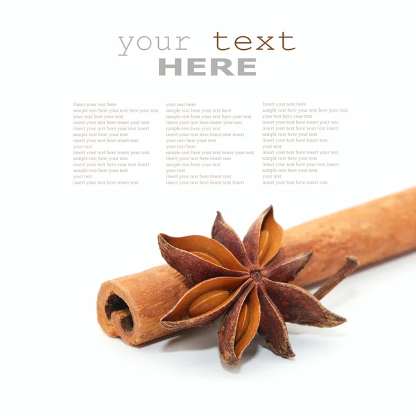 Star anise and cinnamon beer — Stock Photo, Image
