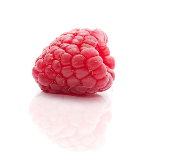 Raspberry merah segar — Stok Foto