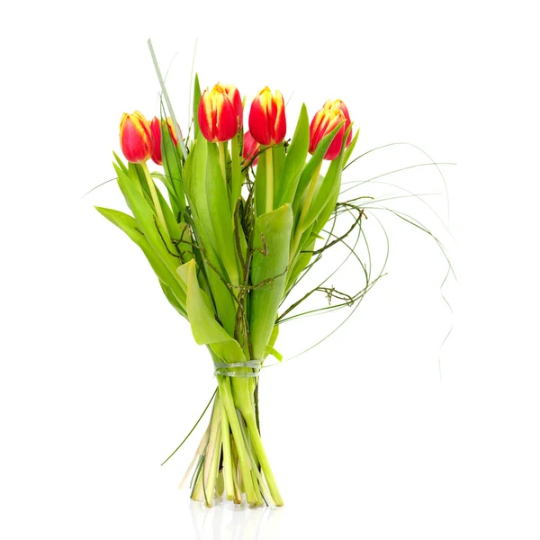 Bouquet of the fresh tulips — Stock Photo, Image