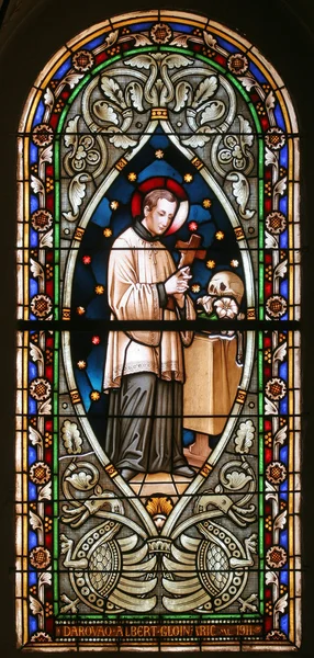 Saint Aloysius Stained Glass — Stock Photo, Image