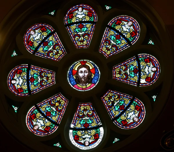Jeesus, Basilica Pyhä Neitsyt Maria, Marija Bistrica, Kroatia — kuvapankkivalokuva