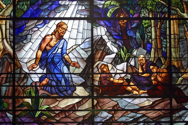 Isus pe Muntele Măslinilor — Fotografie, imagine de stoc