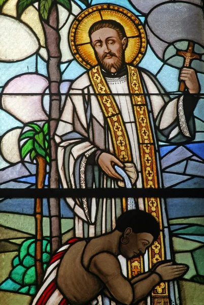 Sfântul Francisc Xavier Vitralii — Fotografie, imagine de stoc