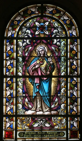 Niepokalanego Serca Maryi — Zdjęcie stockowe
