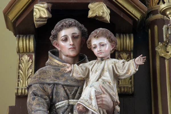 Sint Antonius van Padua — Stockfoto