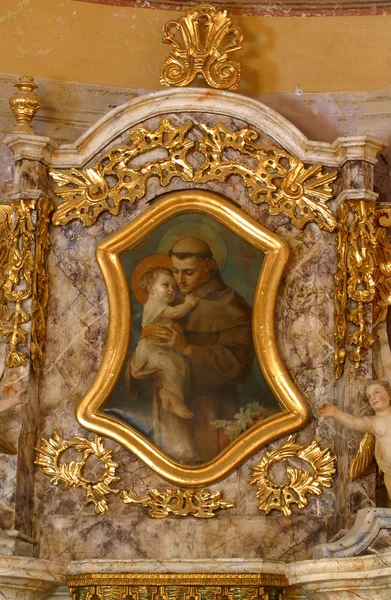 Der Heilige Antonius Von Padua — Stockfoto