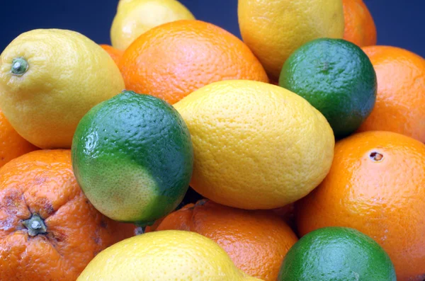 stock image Citruses