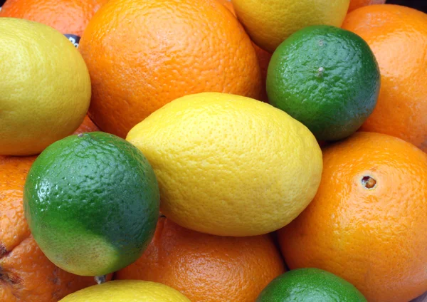 stock image Citruses