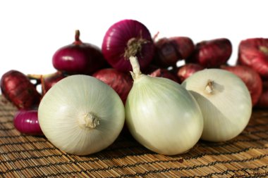 Onion Family clipart
