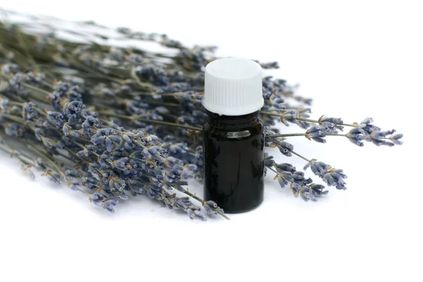 Lavendel ört och eterisk olja — Stockfoto