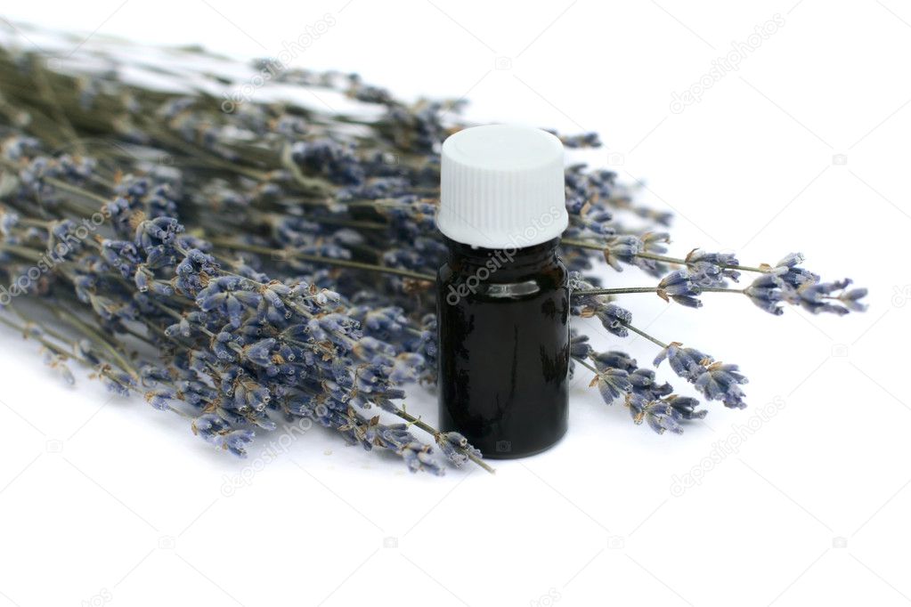 Lavender herb and essential oil