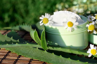 aloe vera ve papatya ile krem