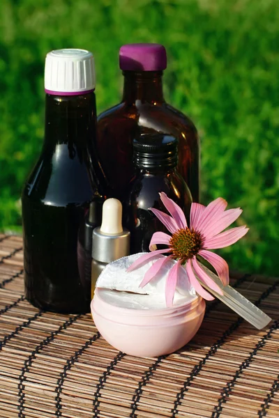 Echinacea medicina alternativa — Fotografia de Stock