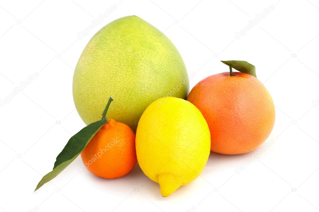 The citrus collection isolated on a white background