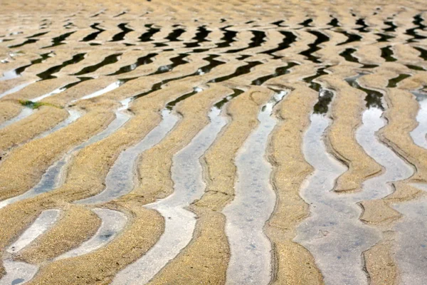 水と砂漣のビーチ — ストック写真
