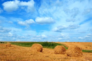 Field with straw bales clipart