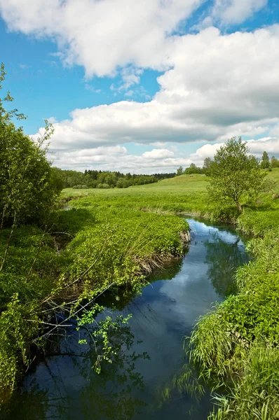 Letní krajina s řekou — Stock fotografie