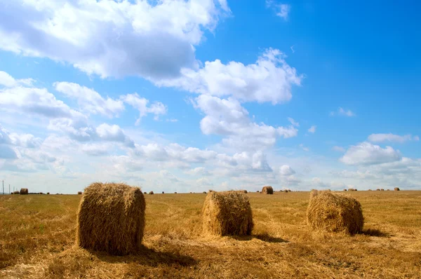 Field with hay or straw bales — Stock Photo, Image