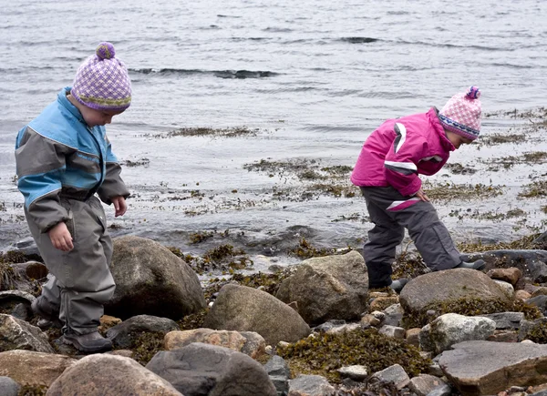 Niños buscando en la playa —  Fotos de Stock