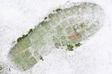 Footprint on Ice clipart