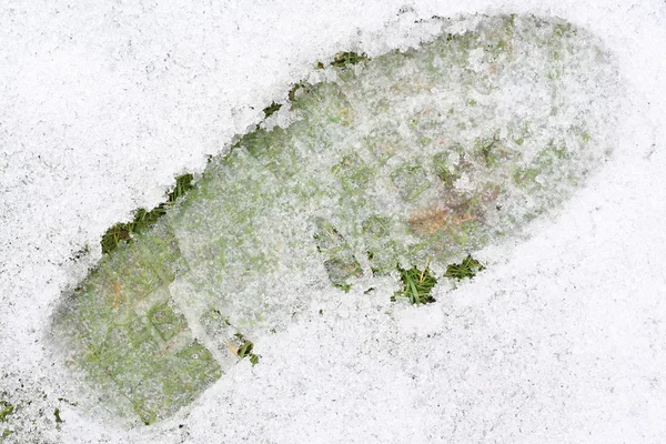 stock image Footprint on Ice