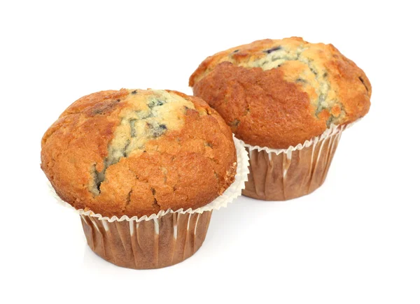 Two English Blueberry Muffins — Stock Photo, Image