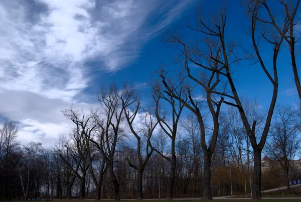 stock image Early spring