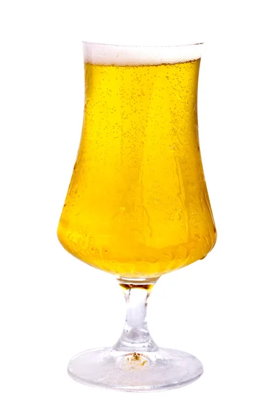 Cerveza, completamente aislada sobre fondo blanco — Foto de Stock