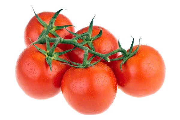 Tomaten, völlig isoliert auf weißem Hintergrund — Stockfoto