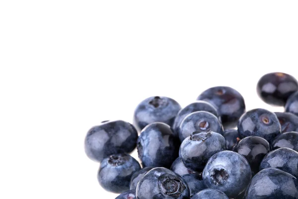 Blueberries, completely isolated on white background — Stock Photo, Image