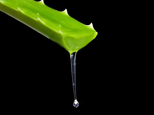 Aloe vera jeli — Stok fotoğraf