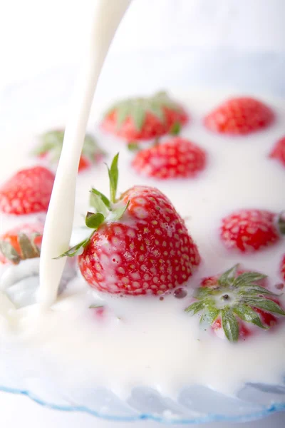 딸기와 우유 스톡 사진