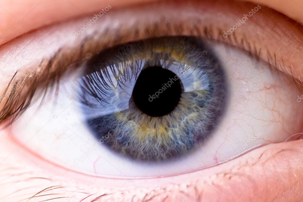 Closeup of an eye with great details shown in the cornea.
