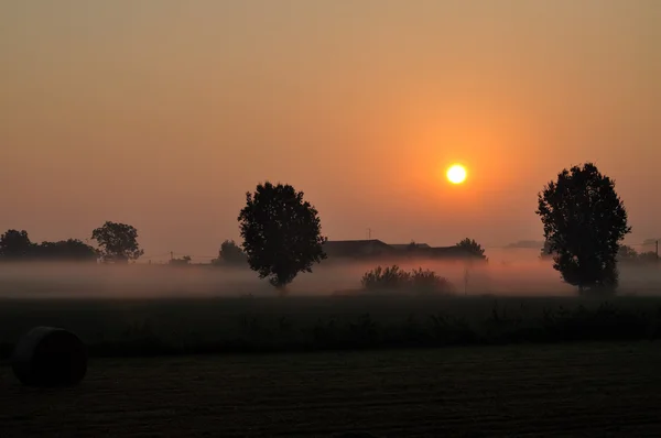 Misty manhã — Fotografia de Stock