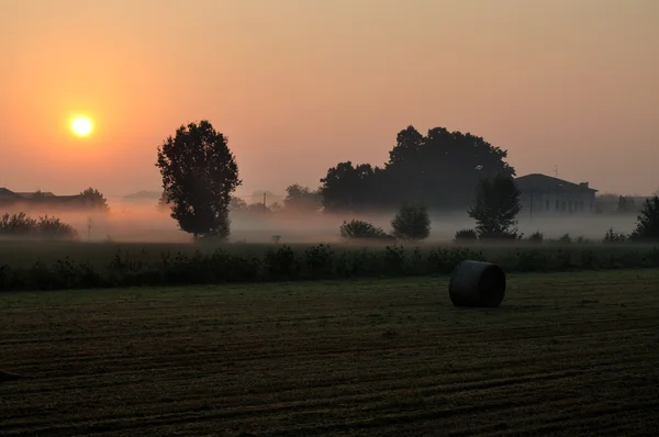 雾的早晨 — 图库照片