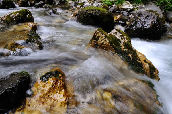 Alpine stream — Stock Photo, Image