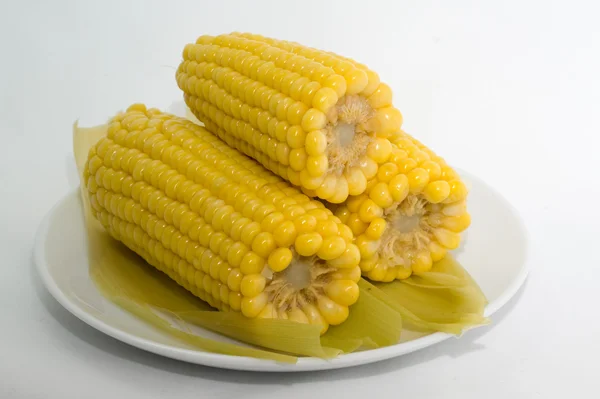 煮的玉米 — 图库照片