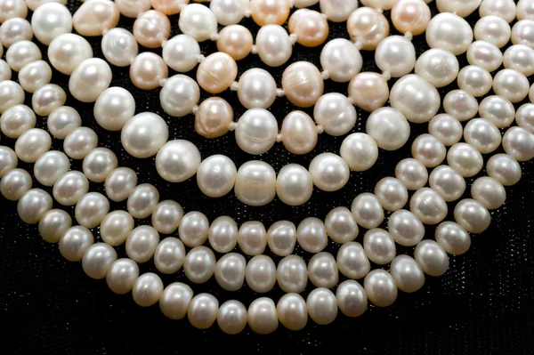 Perles de perles — Photo