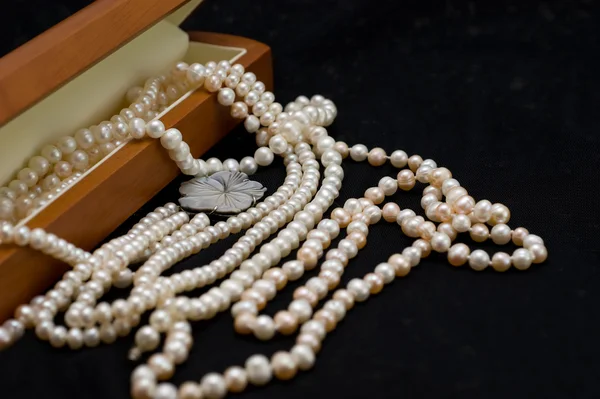 Perle di perle — Foto Stock