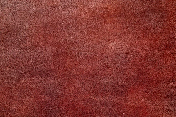 Natural leather — Stock Photo, Image