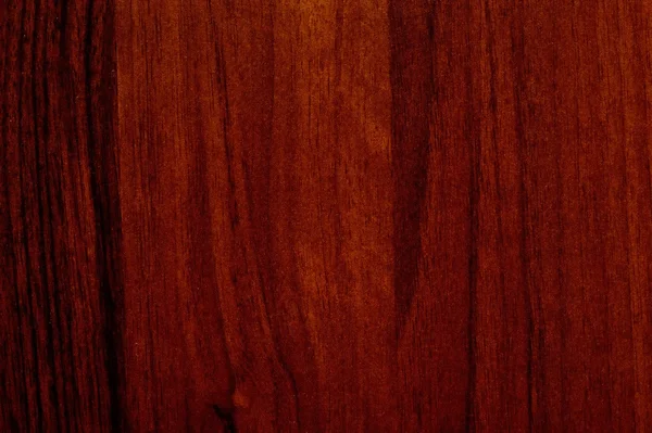 Contexte des panneaux de bois — Photo