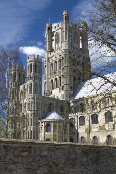 Ely Cathedral — Stockfoto