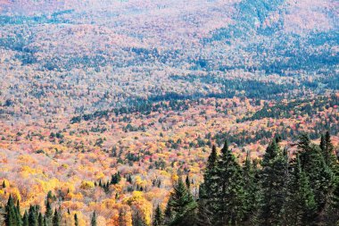 Sonbahar sezonu mont tremblant quebec, Kanada