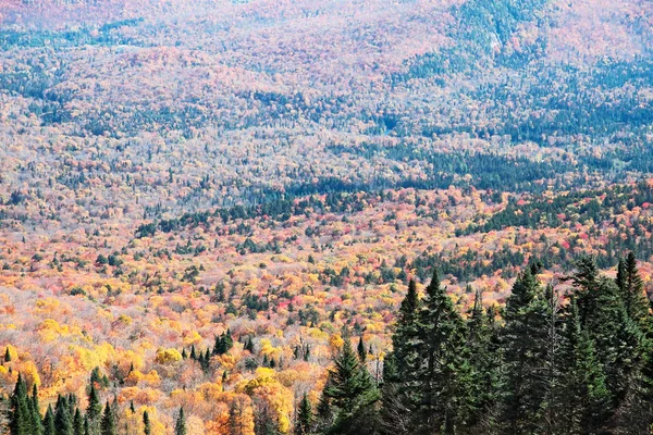 秋天季节在蒙特朗布朗，魁北克，加拿大 — 图库照片