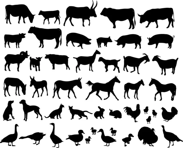 农场动物 — 图库矢量图片